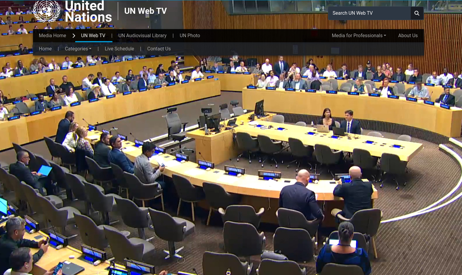 Screenshot from UN Web TV showing the media controls and a still image of the conference room