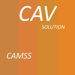 CAV2